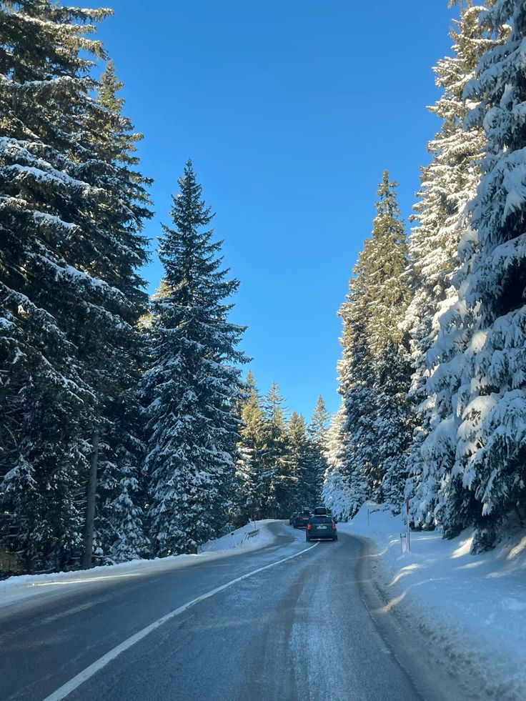 The S16 Arlberg motorway through the winter forest